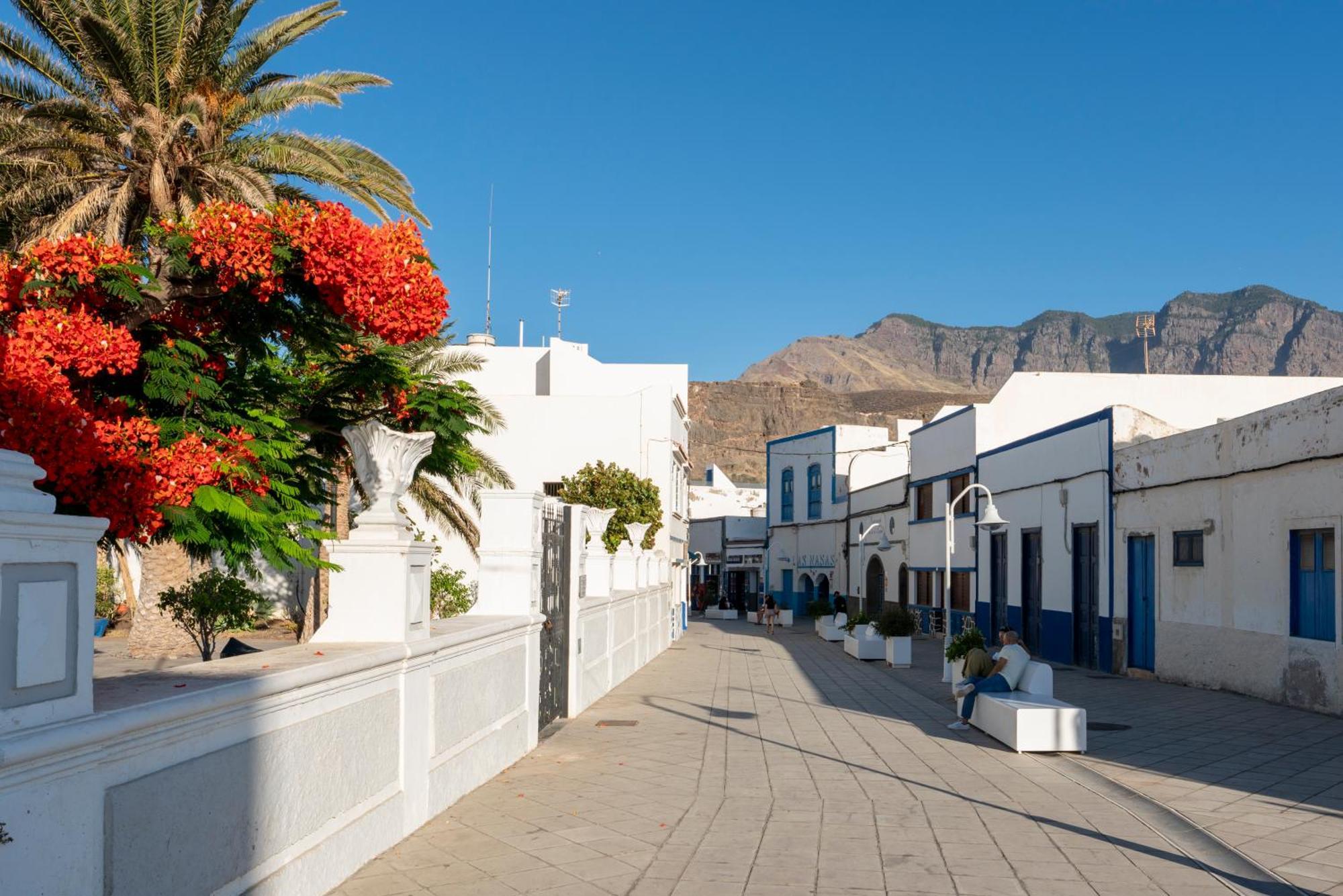 Agaete White&Blue Rooftop المظهر الخارجي الصورة